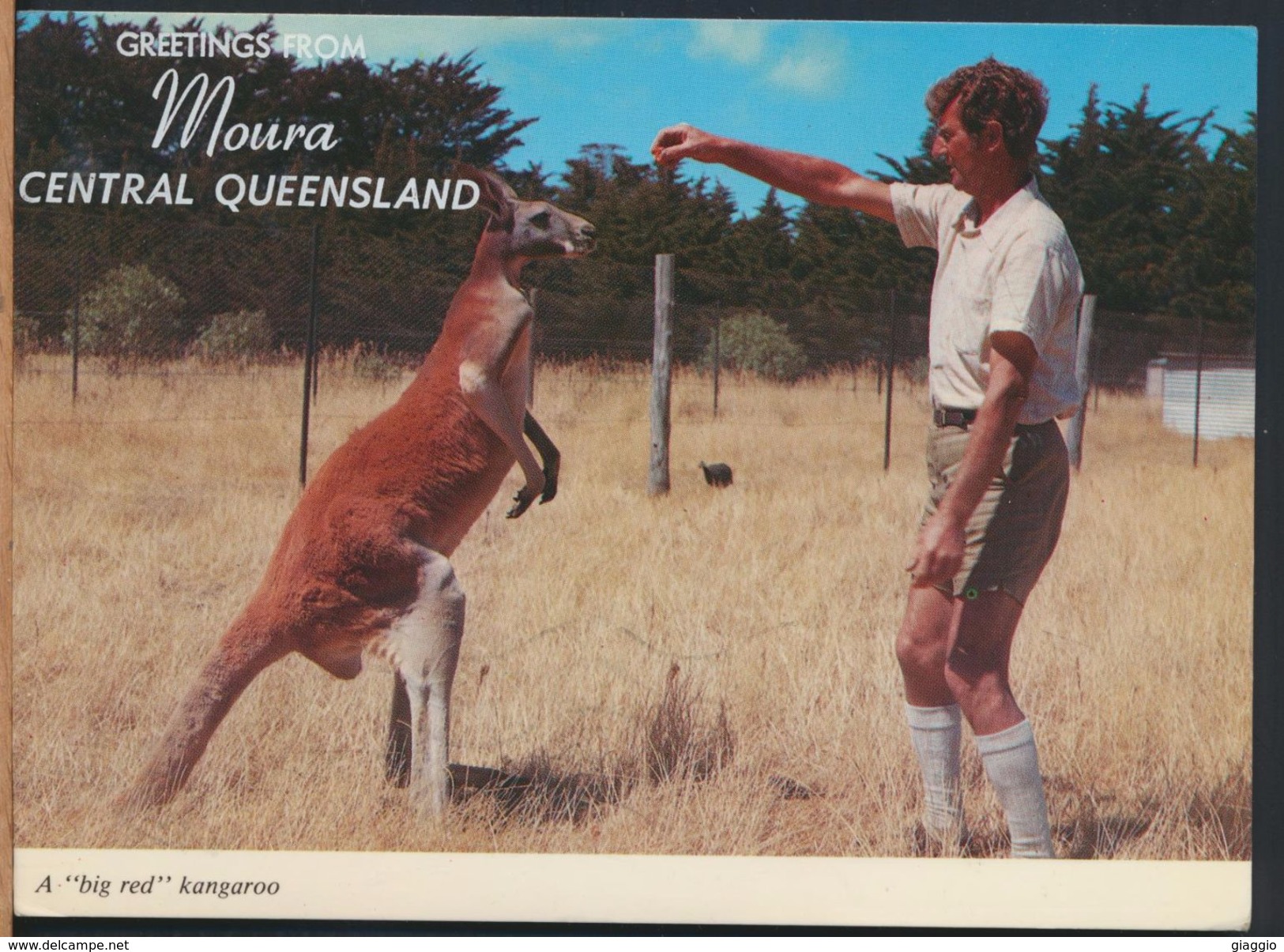 °°° 8087 - AUSTRALIA - GREETINGS FROM MOURA - A BIG RED KANGAROO - With Stanps °°° - Altri & Non Classificati