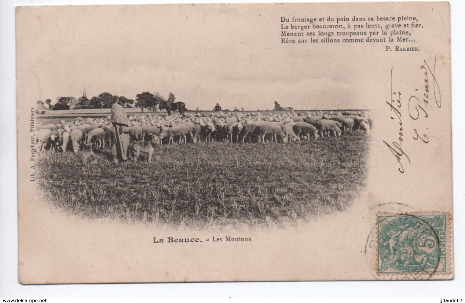 LA BEAUCE (49) - LES MOUTONS - Autres & Non Classés