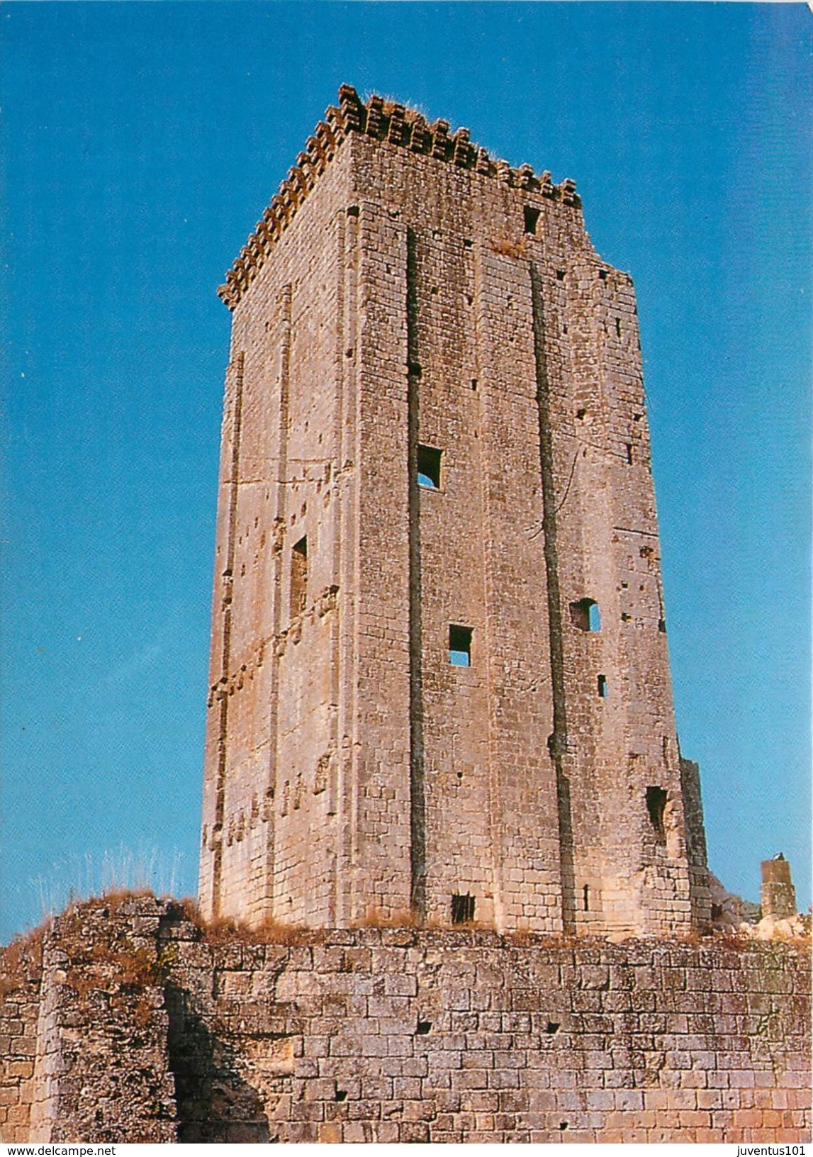 CPSM Le Grand Pressigny-La Tour Du Château    L2362 - Le Grand-Pressigny