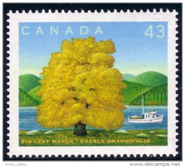 Canada Arbre Erable Grandifolie Big Leaf Maple Tree MNH ** Neuf SC (C15-24ab) - Bäume