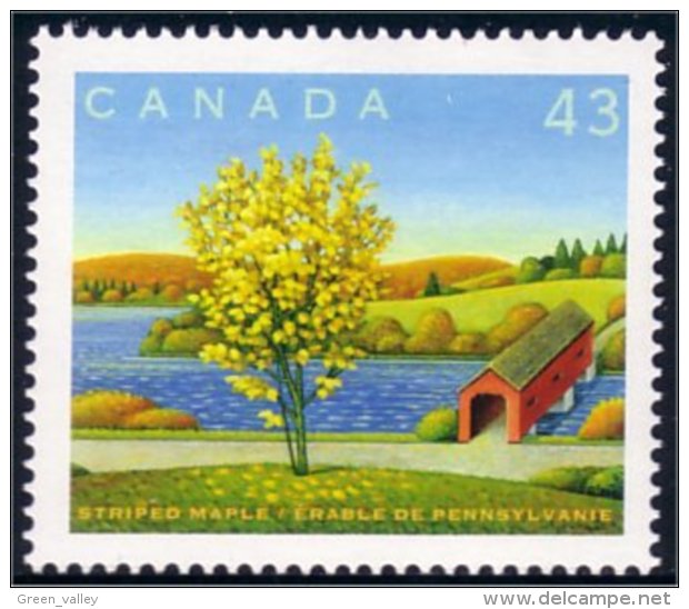 Canada Arbre Erable Pennsylvanie Striped Maple Tree MNH ** Neuf SC (C15-24db) - Bäume