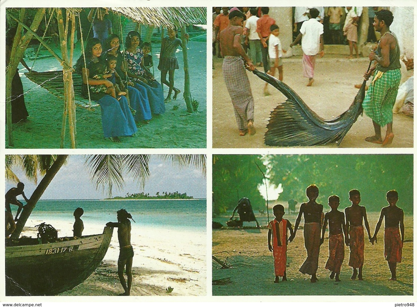 Maldives (Maldive) Village, Scorci Panoramici E Scene Di Vita Quotidiana, Pesca E Folklore - Maldive