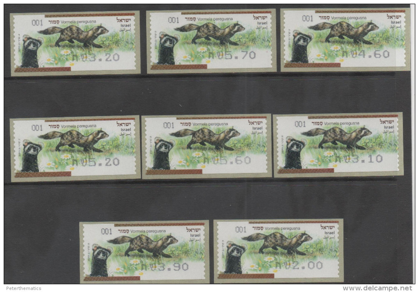 ISRAEL ,2014, ATM LABELS, MNH, 8v, POLECATS, WILDLIFE - Sonstige & Ohne Zuordnung