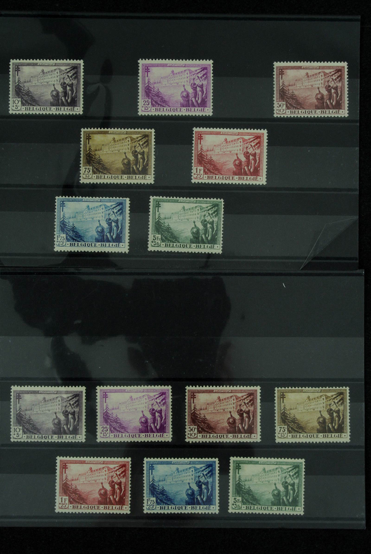 Belgien: 1900/1960: Fantastic lot better sets on stockcards, including the good issues all in quanti