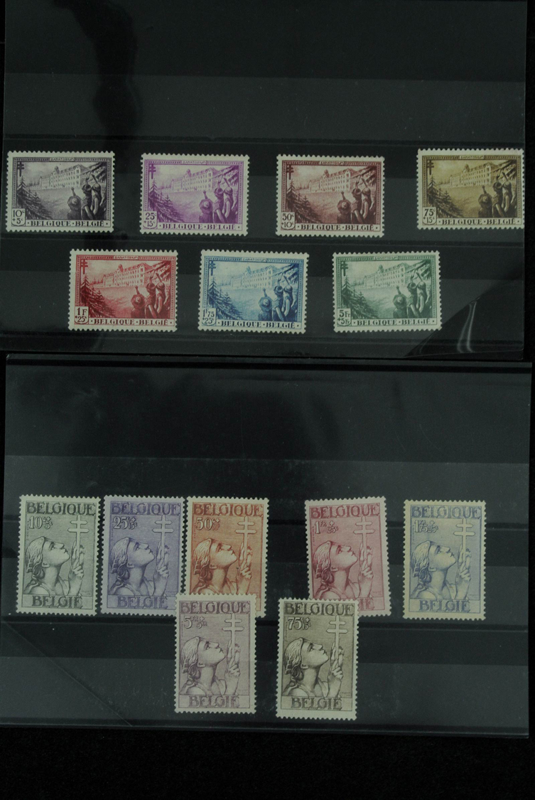 Belgien: 1900/1960: Fantastic lot better sets on stockcards, including the good issues all in quanti