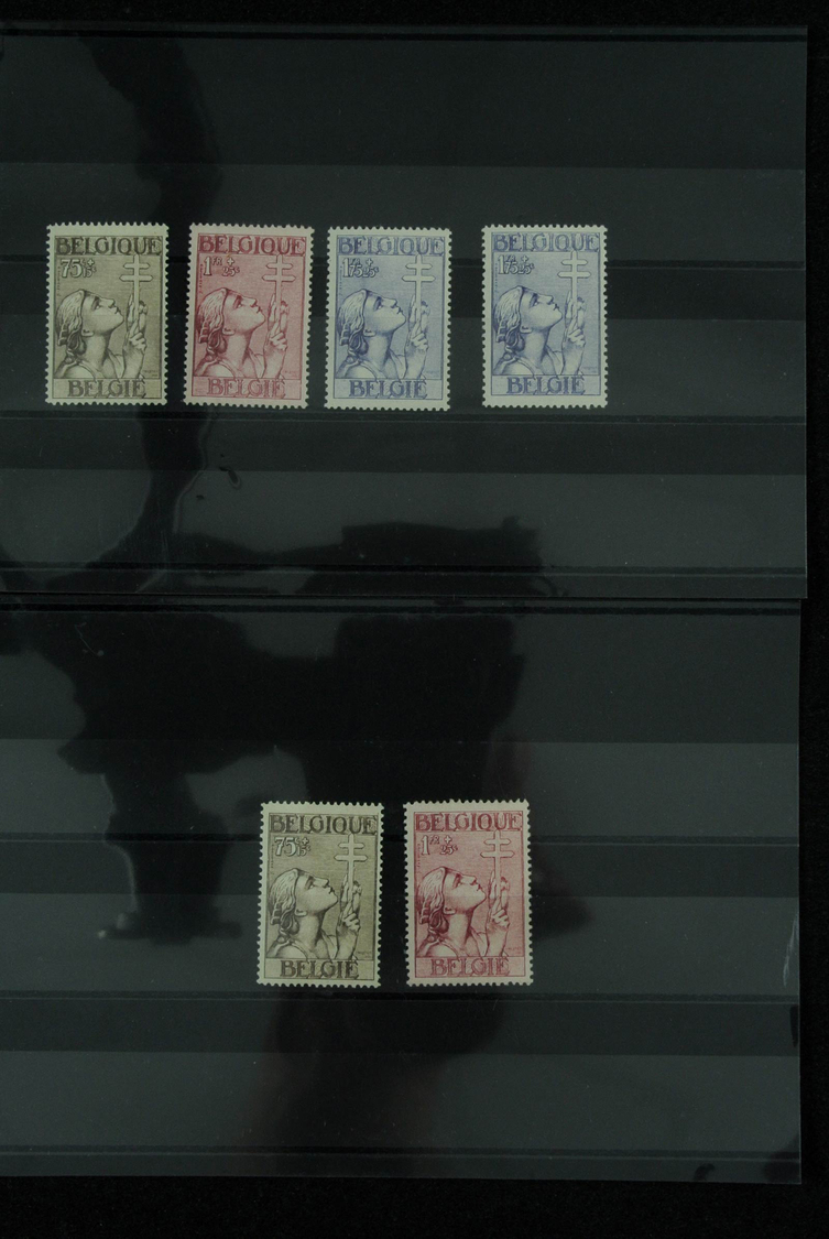 Belgien: 1900/1960: Fantastic lot better sets on stockcards, including the good issues all in quanti
