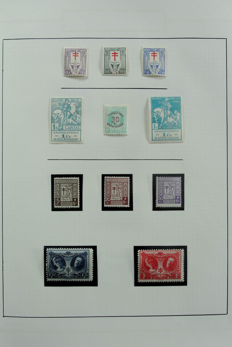 Belgien: 1900/2012: Extremely extensive, MNH and canceled collection Belgium 1900-2012 in 27 (!) Vic