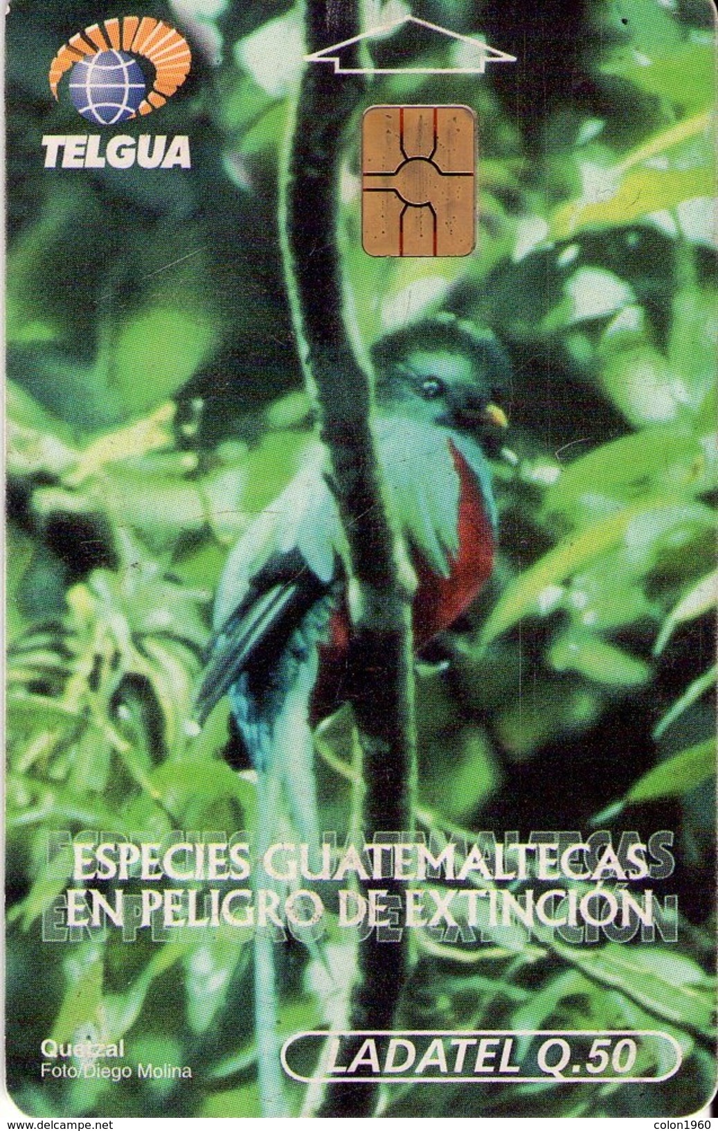 GUATEMALA. GT-TLG-0010B. QUETZAL. ESPECIES EN PELIGRO DE EXTINCION. (047) - Guatemala