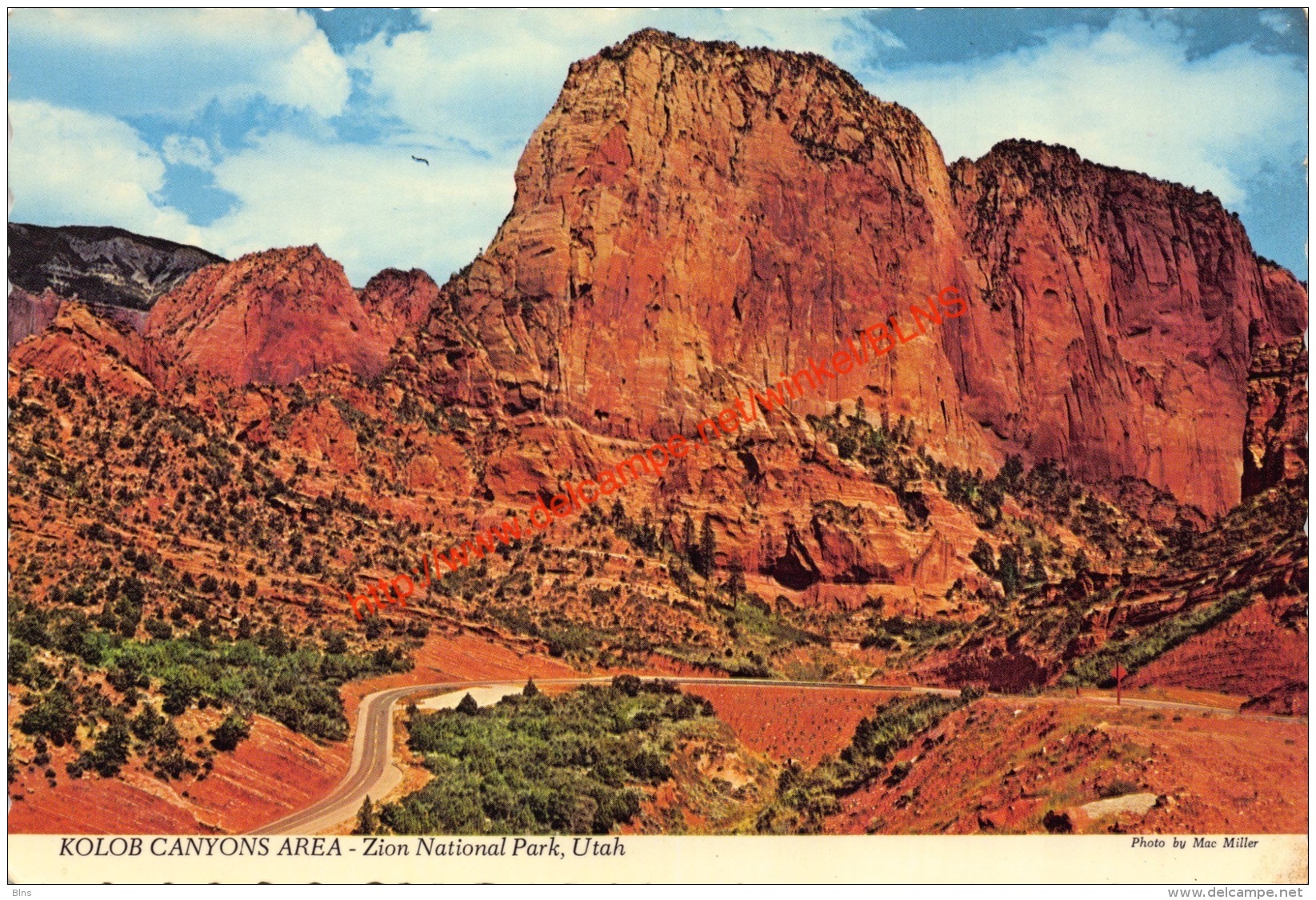 Kolob Canyons Area - Zion National Park - Utah - Zion