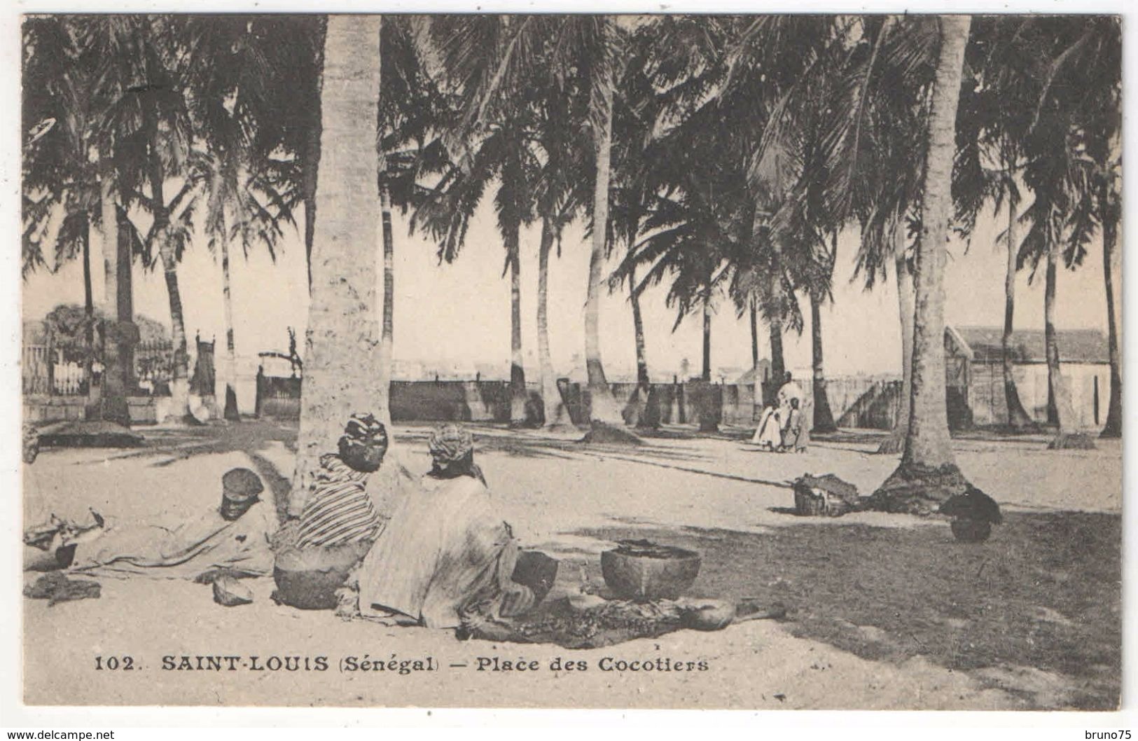 SAINT-LOUIS - Place Des Cocotiers - Senegal