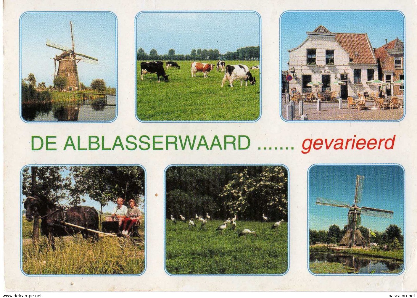 DE ALBLASSERWAARD GEVARIEERD - Kinderdijk