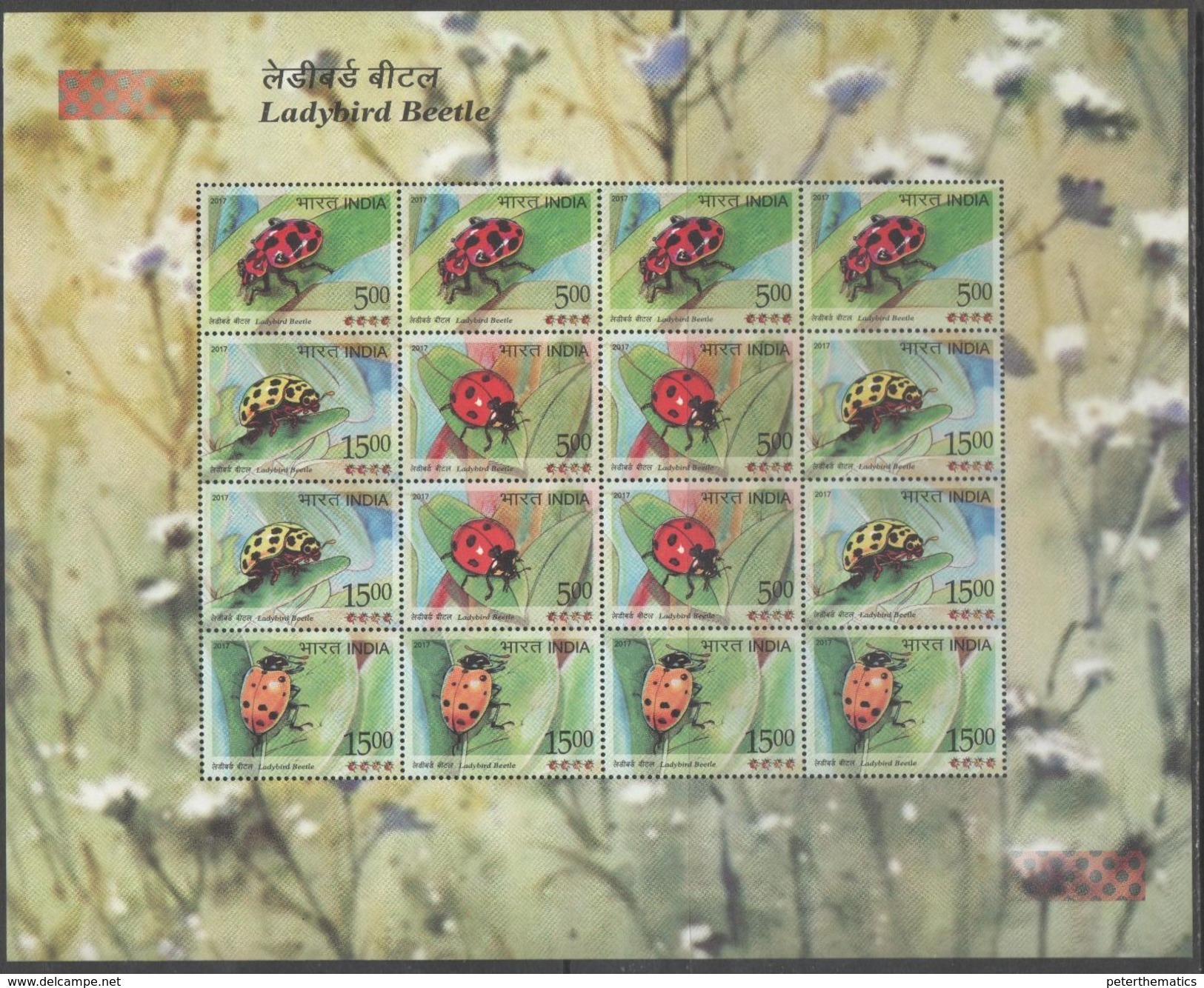 INDIA, 2017, MNH, INSECTS, BEETLES, LADYBIRDS, 4 SHEETLETS WITH DIFFERENT BORDER AND STAMP LAYOUT - Sonstige & Ohne Zuordnung