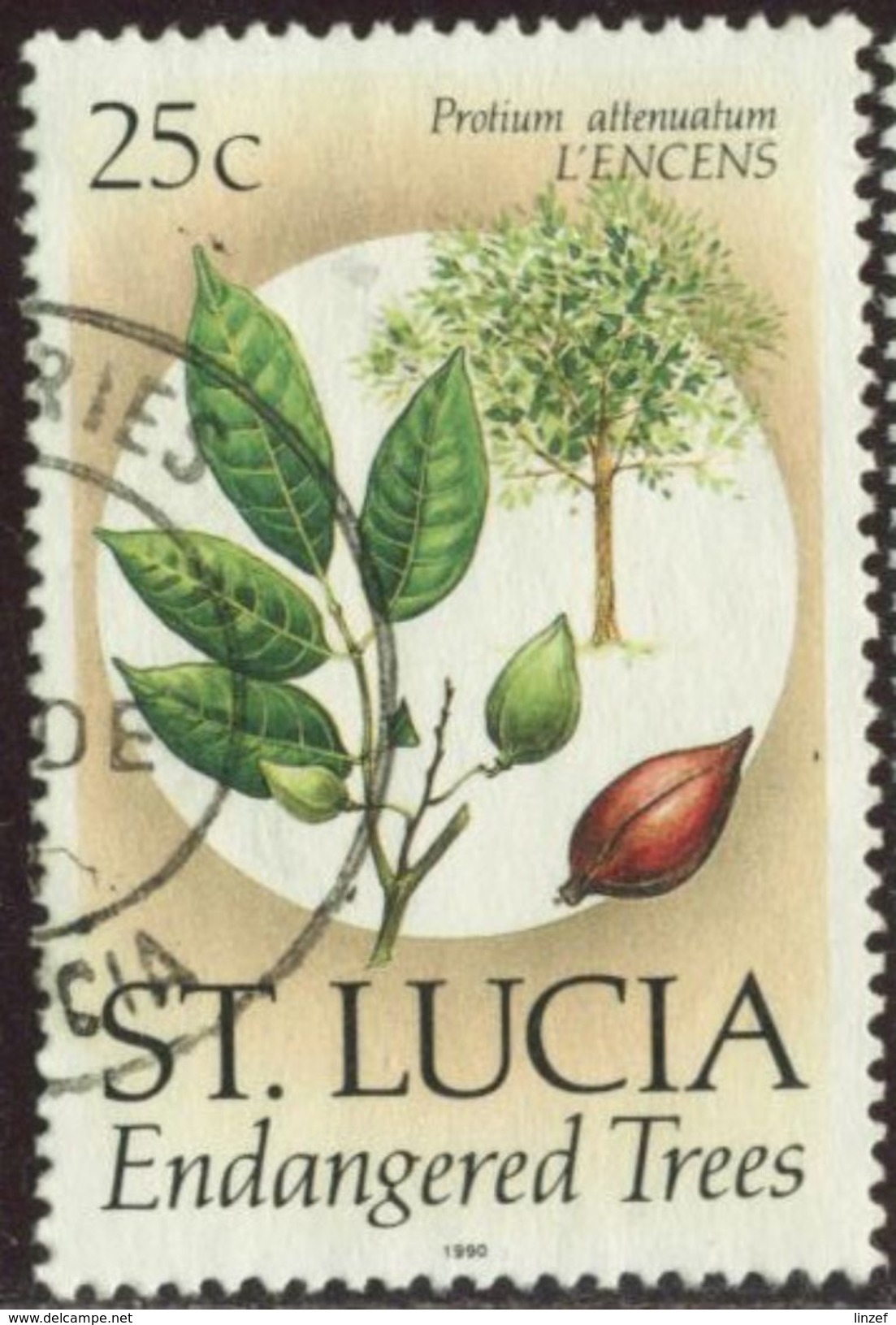 Sainte Lucie 1990 Yv. N°937 - Protium Attenatium - Oblitéré - St.Lucia (1979-...)