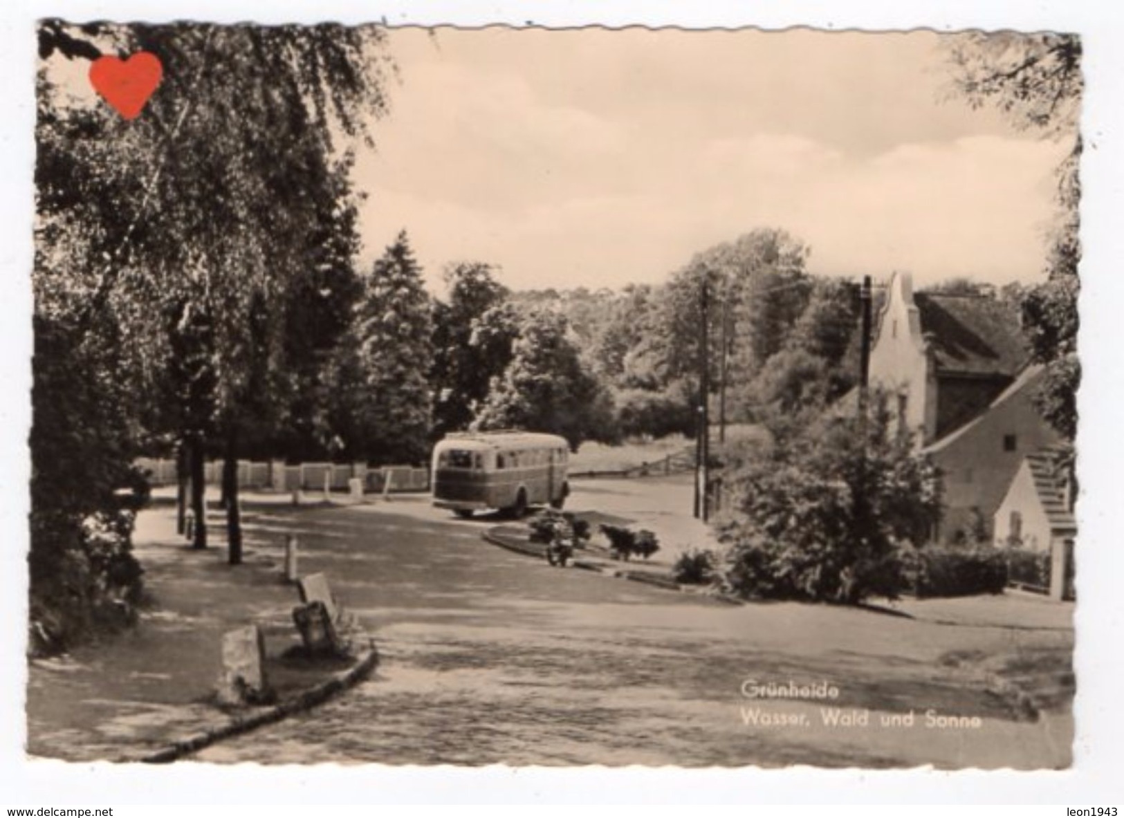 17227-LE-ALLEMAGNE-Grünheide-Wasser,Wald Und Sonne------------autobus - Gruenheide