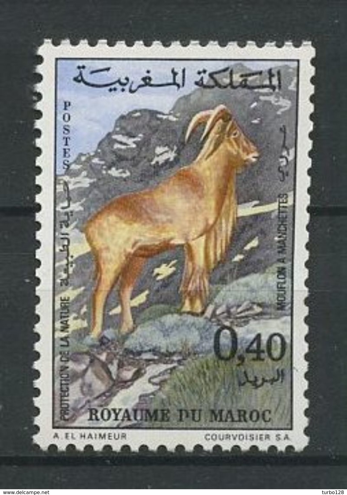 MAROC 1972 N° 647 ** Neuf MNH Superbe Cote 2,80 € Faune Animaux Mouflon à Manchettes Protection Nature - Marruecos (1956-...)