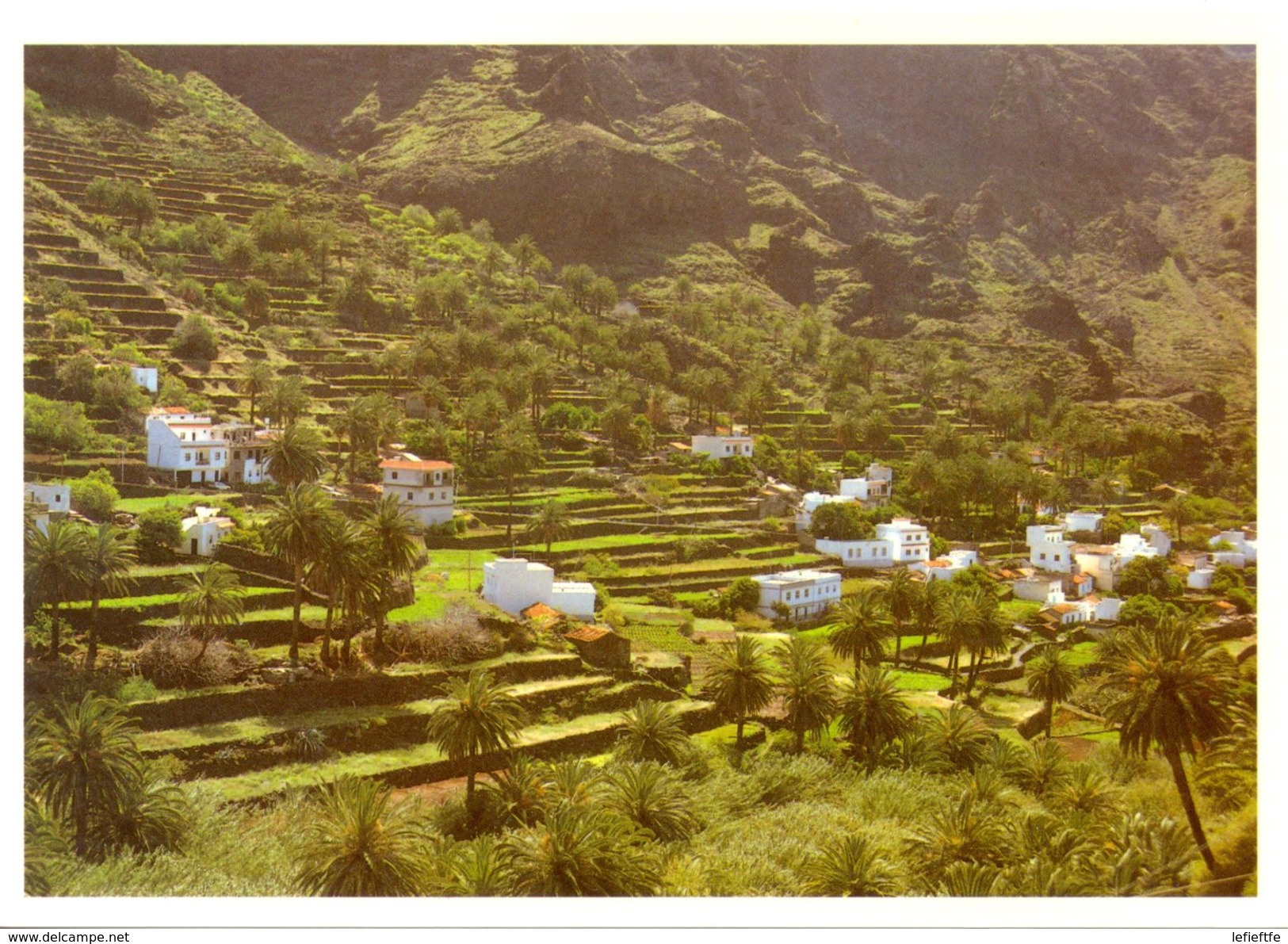 Canaries - La Gomera - Cultivo De Terraza En Valle Gran Rey - Edición Andy I. Canarias - Neuve - - Gomera