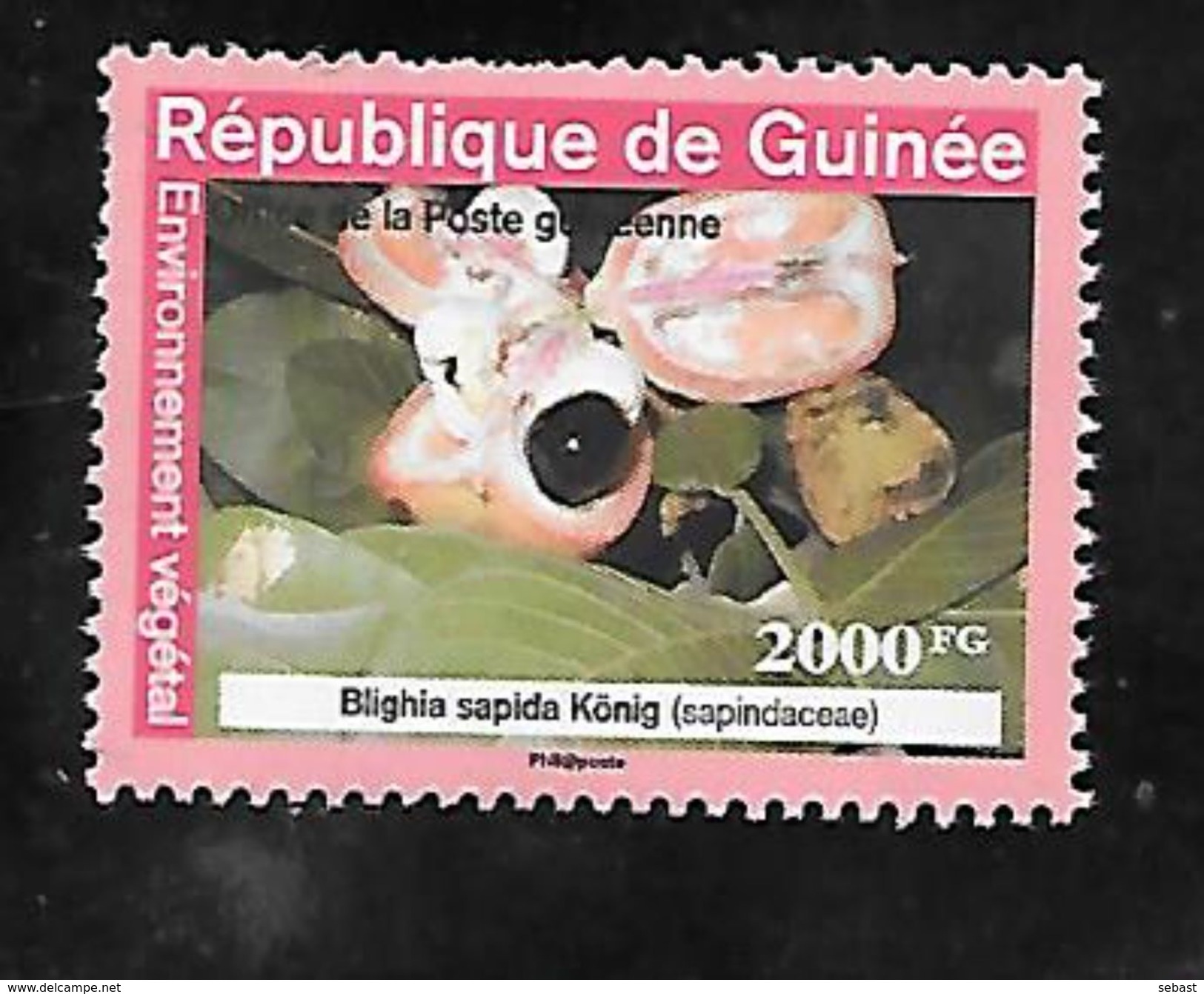 TIMBRE OBLITERE DE GUINEE DE 2009 N° MICHEL A 6354 - Guinea (1958-...)