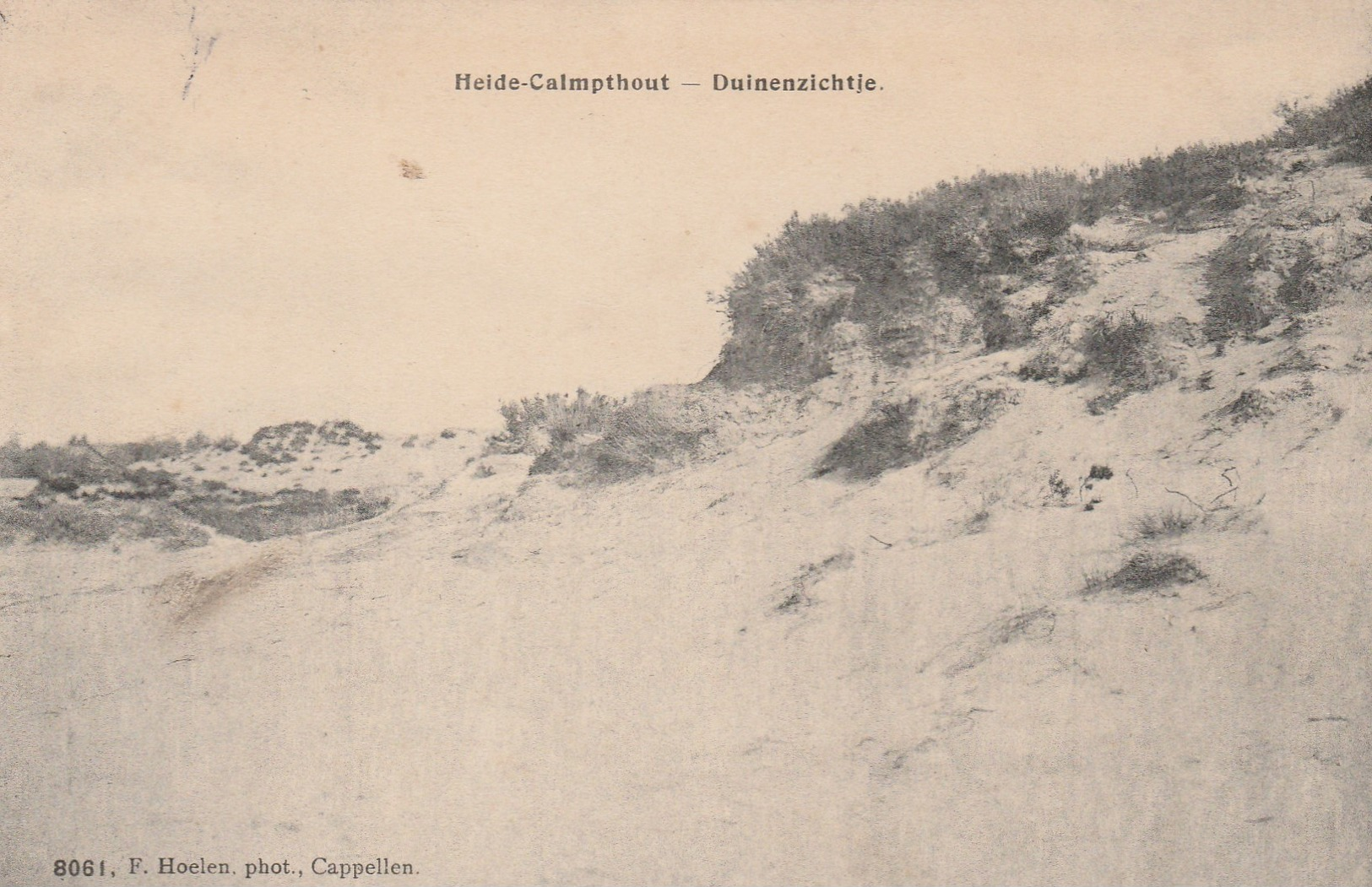 Heide - Calmpthout ,  Duinenzichtje (F.Hoelen ,Cappellen ,8061 ) - Kalmthout