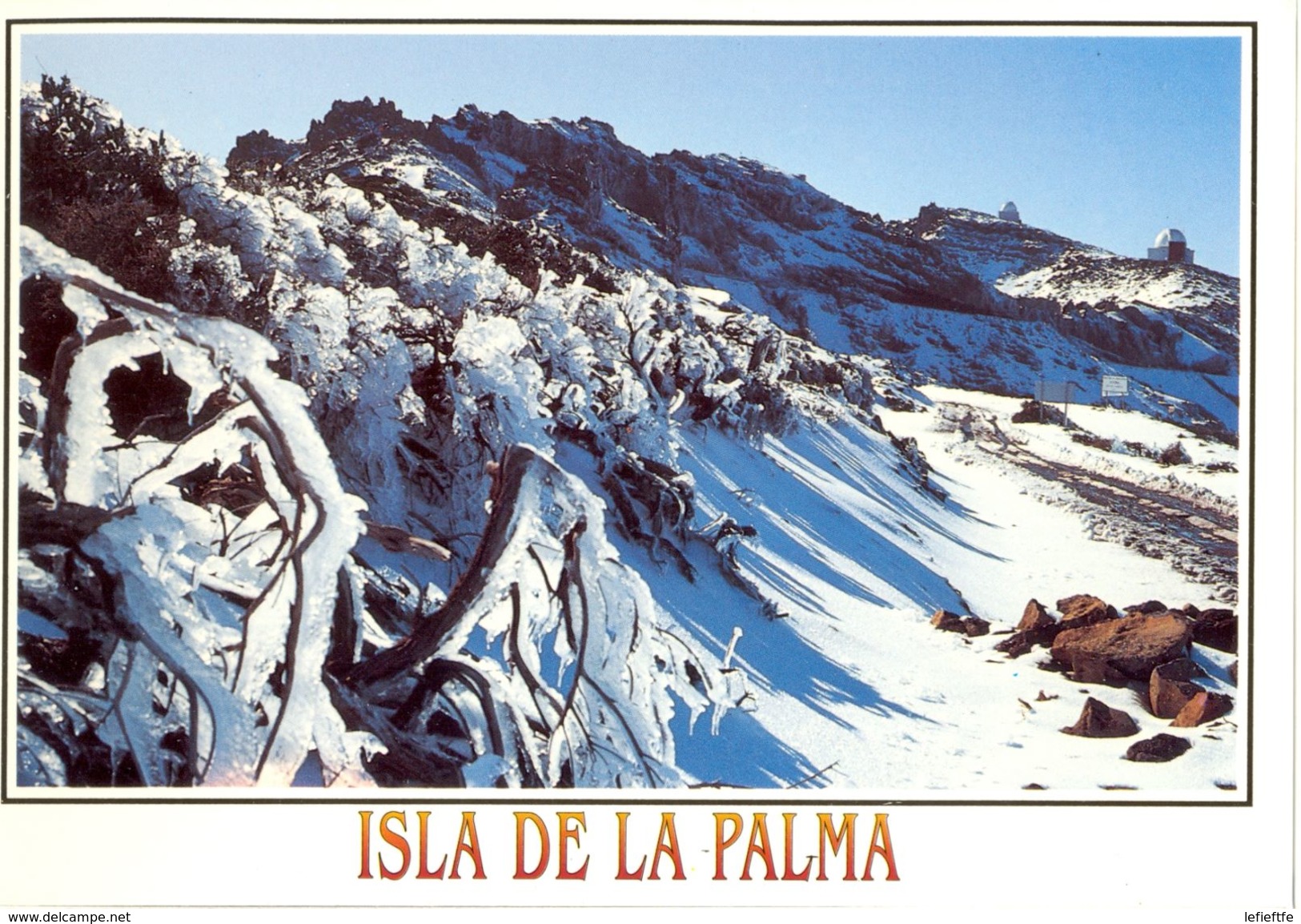 Canaries - La Palma - Nieve En La Cumbre Con Observatorio Al Fondo - Ediciones DAVID Barcelone Nº 249 - Neuve - 2131 - La Palma