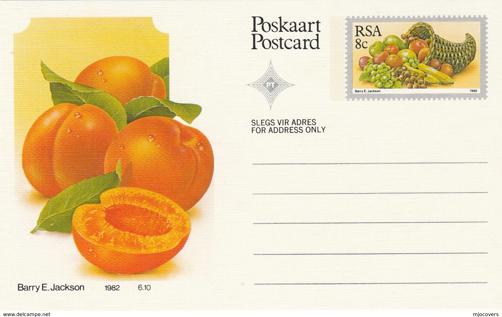 8c SOUTH AFRICA Postal STATIONERY CARD Illus APRICOT FRUIT Cover Stamps Rsa Grapes  Banana - Fruits