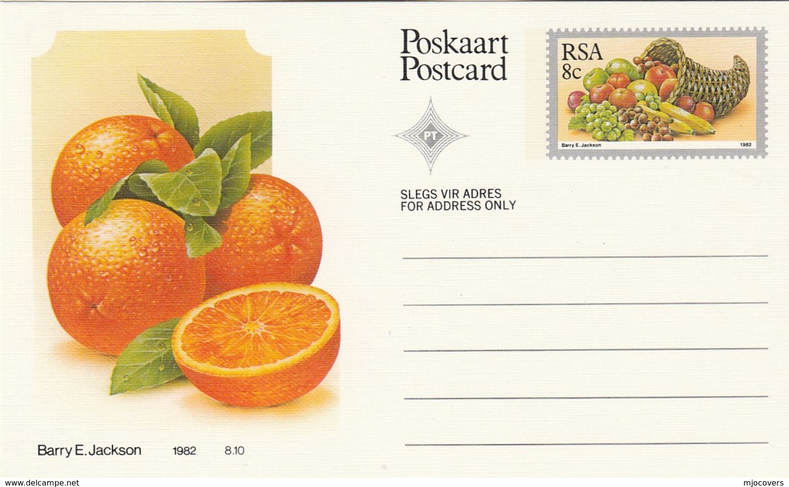 8c SOUTH AFRICA Postal STATIONERY CARD Illus ORANGES FRUIT Cover Stamps Rsa Grapes  Banana - Fruits