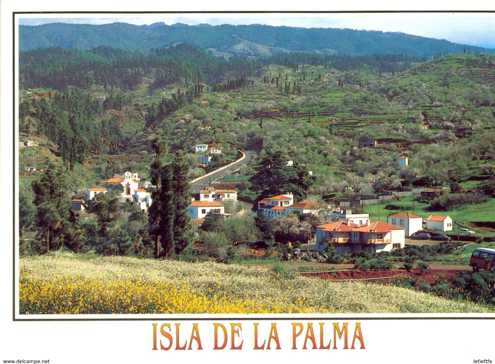 Canaries - La Palma - Breña Baja - Puntagorda - Vista Parcial - Ediciones DAVID Barcelone Nº 265 - Neuve - 2149 - La Palma
