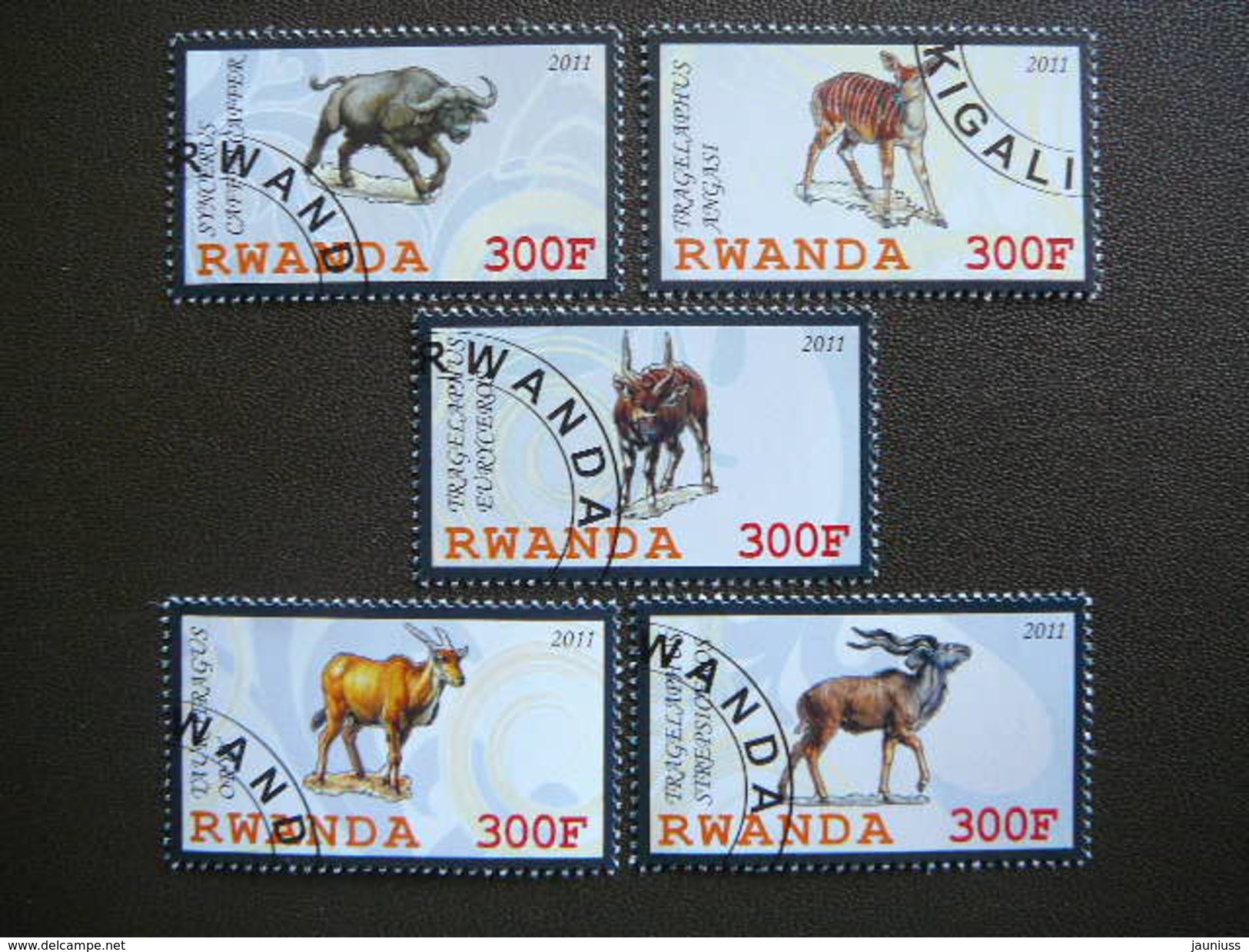 B(1875) 2011 # Animals - Cows # Set Of 5 Stamps # Used - Cows