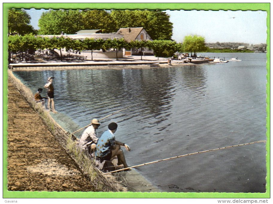 71 Environs De MONTCENIS - Etang De Torcy Et La Rotonde - Autres & Non Classés