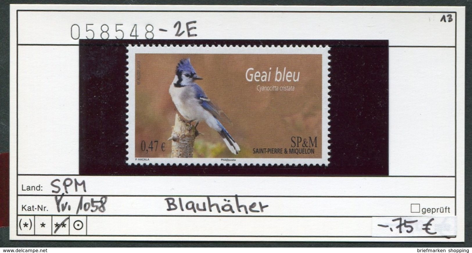 St. Pierre & Miquelon - SPM - Michel ? Yvert 1058 ** Mnh Neuf Postfris - Blauhäher - Geai Bleu - Unused Stamps