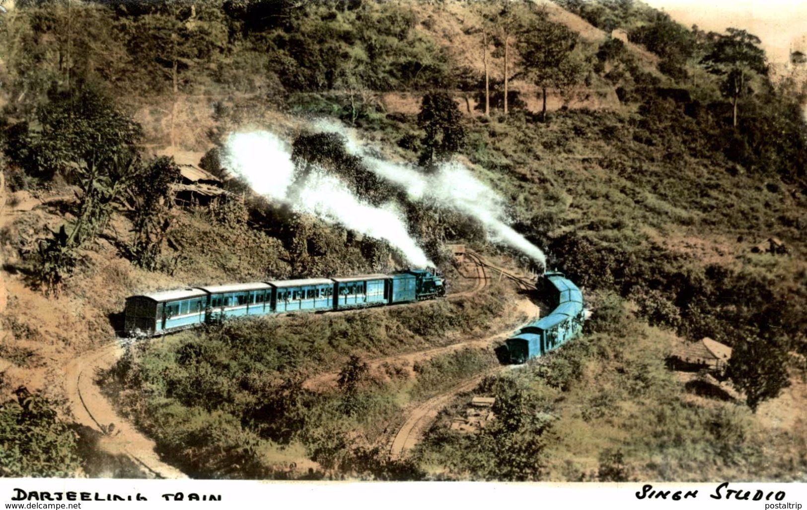 DARJEELINIG TRAIN - Trenes