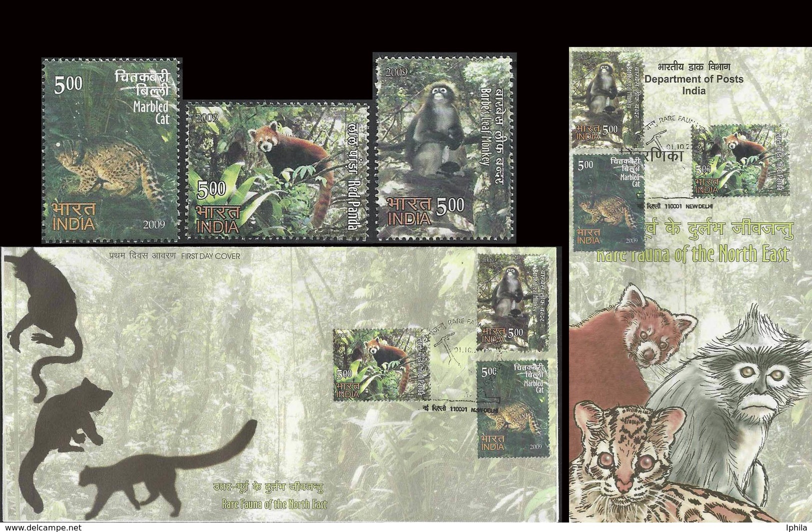 Rare Fauna Of North East FDC Folder Monkey Indian Primates Indien Wild Life Animals Indien Affe Marbled Cat Red Panda - Monkeys