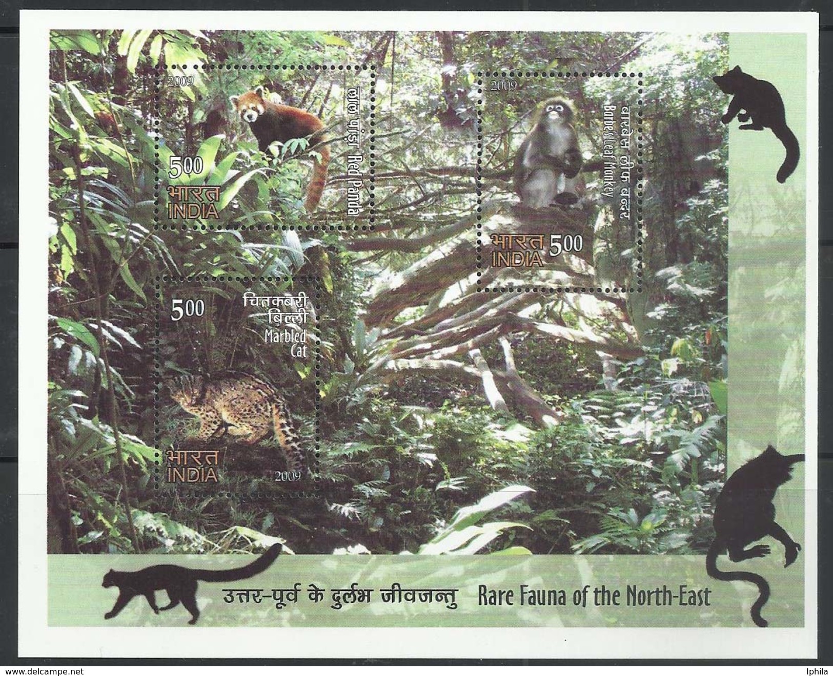 Rare Fauna Of North East FDC Folder Monkey Indian Primates Indien Wild Life Animals Indien Affe Marbled Cat Red Panda - Monkeys