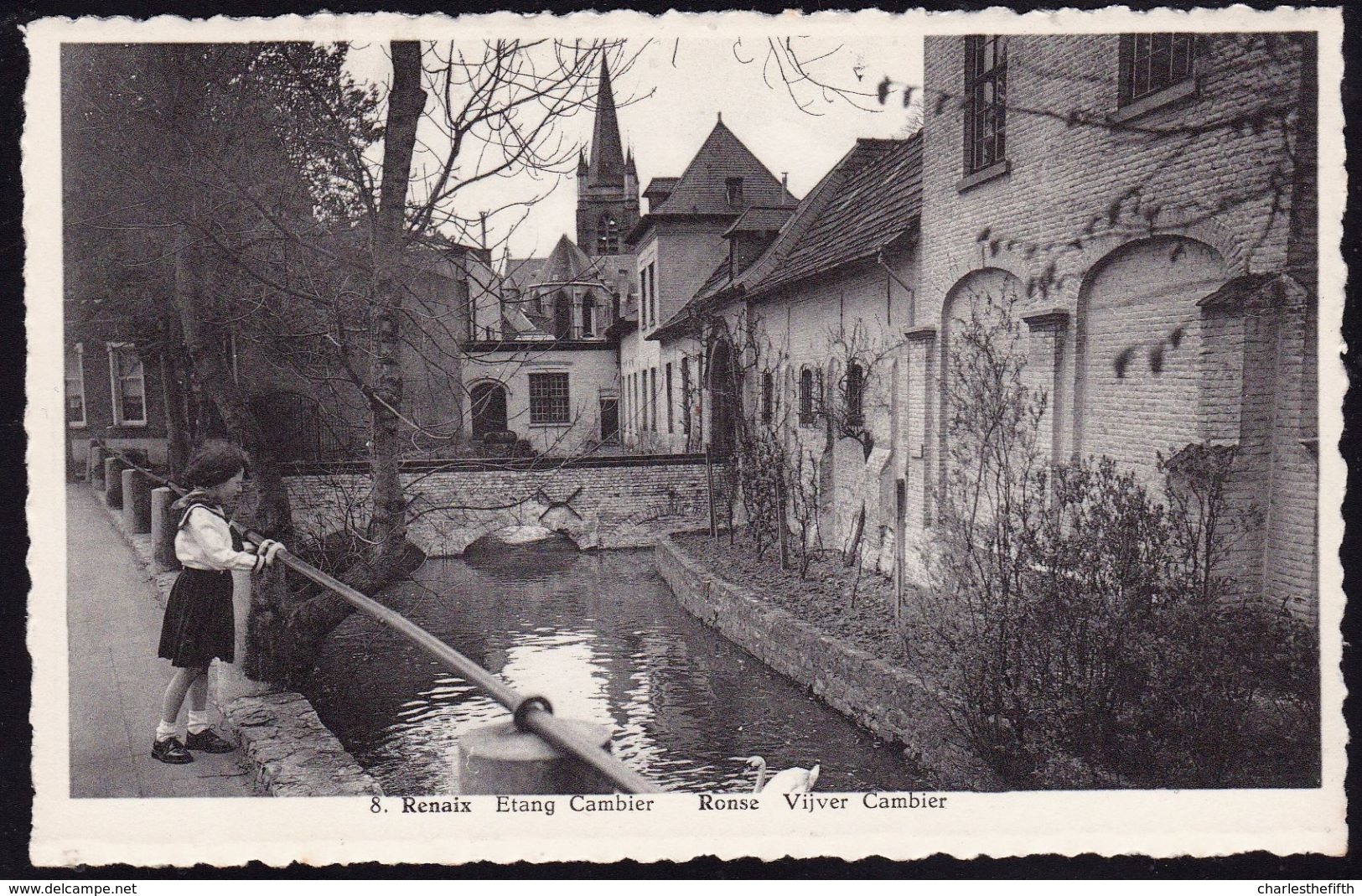 RENAIX - RONSE --- ETANG CAMBIER !! Carte Vierge - Ronse