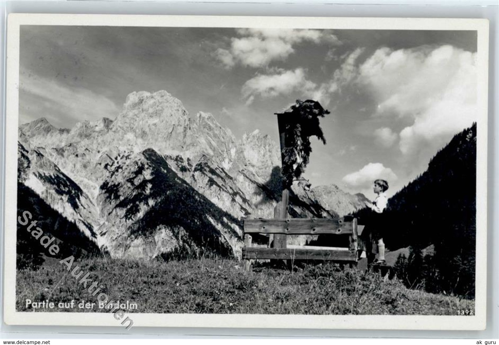 51020460 - Berge Bindalm - Sonstige & Ohne Zuordnung