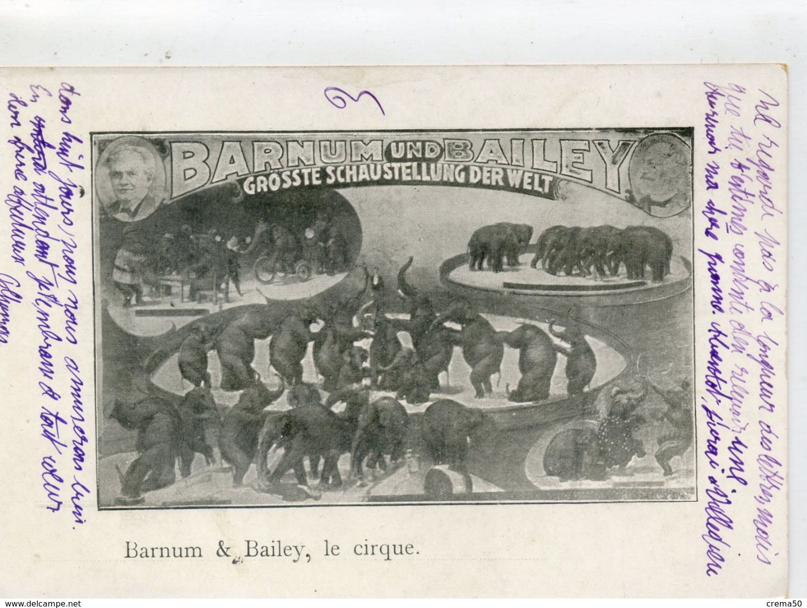 CIRQUE - Barnum Bailey - Eléphants - Cirque