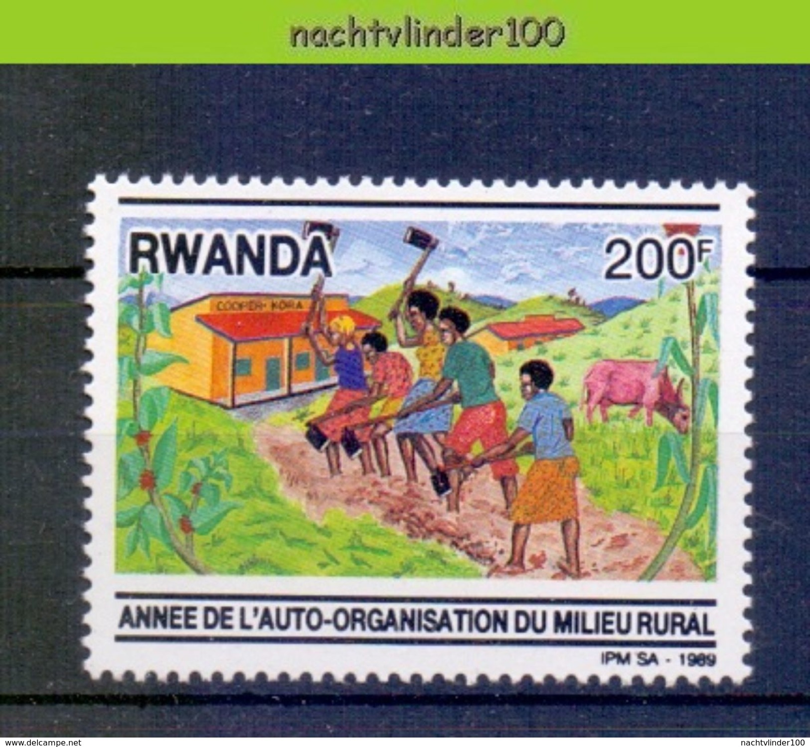 Mwe2520 FAUNA ZOOGDIEREN BOERDERIJDIEREN KOE COW KUH MILIEU MAMMALS FARM ANIMALS RWANDA PF/MNH - Koeien