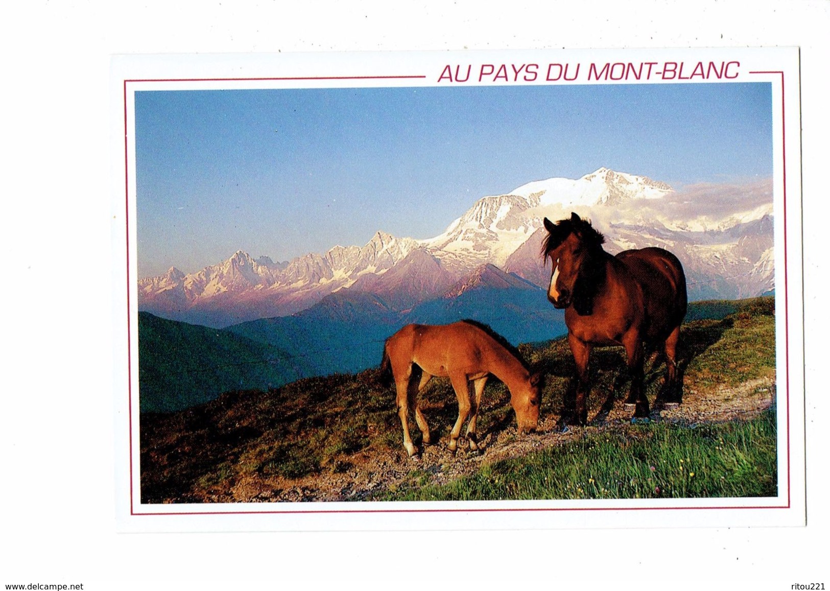 Cpm - Au Pays Du Mont-Blanc - Cheval Chevaux - Pferde