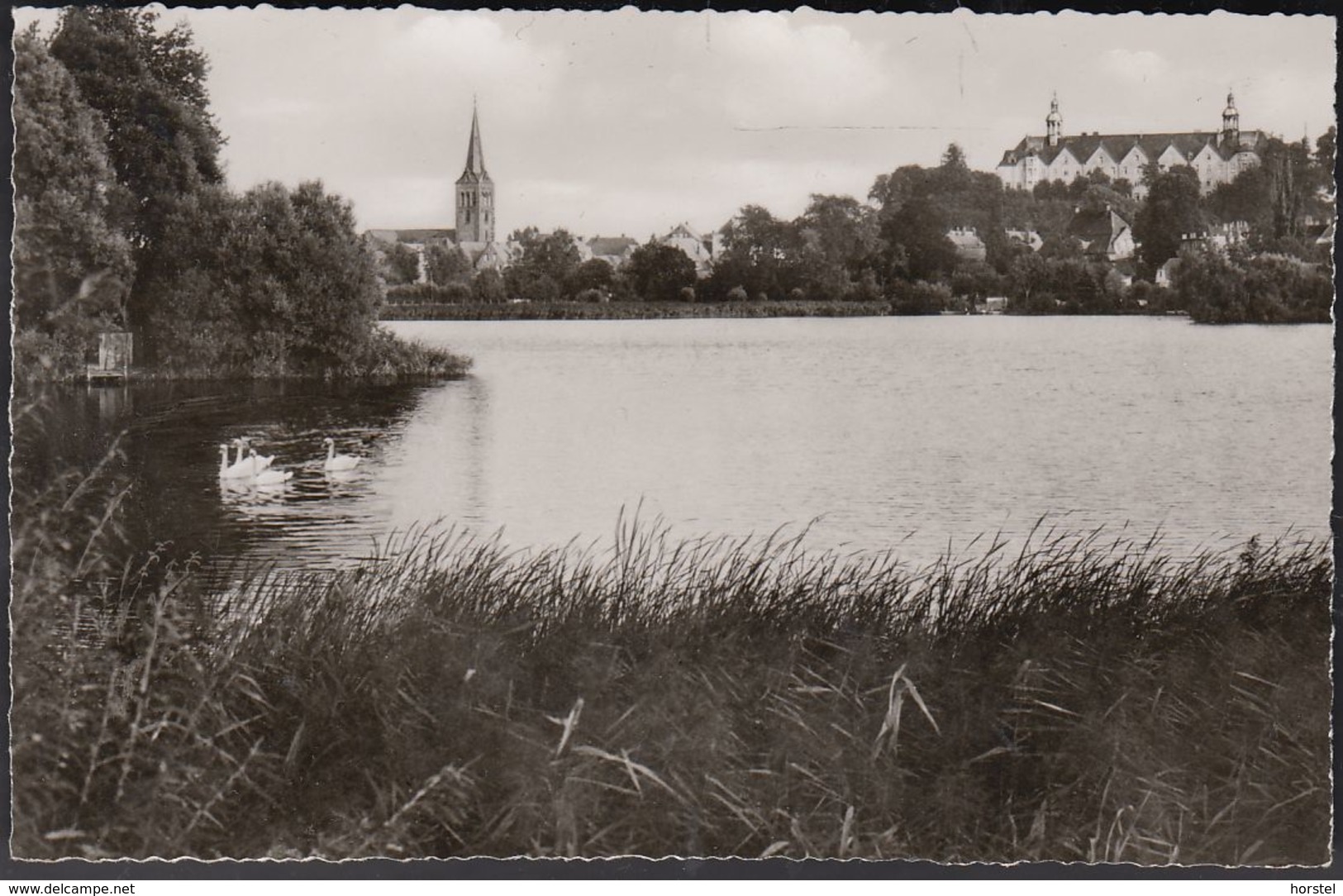 D-24306 Plön Am See - Holstein - Schloßpartie - Kirche - See Mit Schwan - Ploen