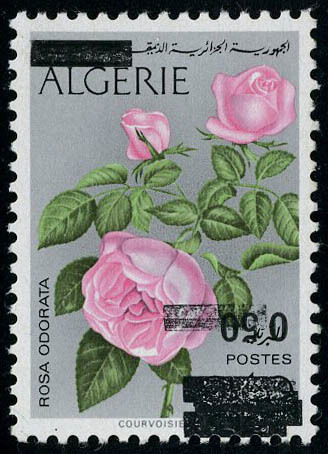 Neuf Sans Charnière N° 598a, 0.50 Sur 40c Roses Surcharge Renversée, T.B. Signé Calves - Altri & Non Classificati