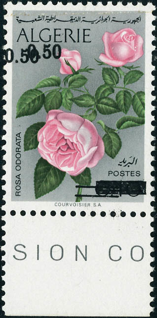Neuf Sans Charnière N°598b. 50c S/40c Rose. Double Surcharge. BdF. Superbe - Sonstige & Ohne Zuordnung