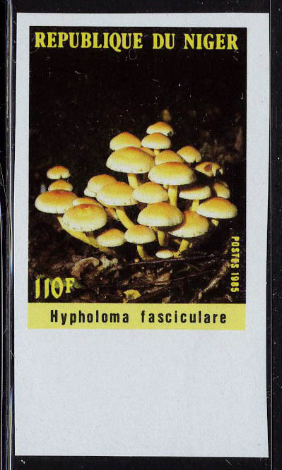 Neuf Sans Charnière N° 692/6, Champignons, La Série ND + La Même En 5 épreuves De Luxe, T.B. - Otros & Sin Clasificación