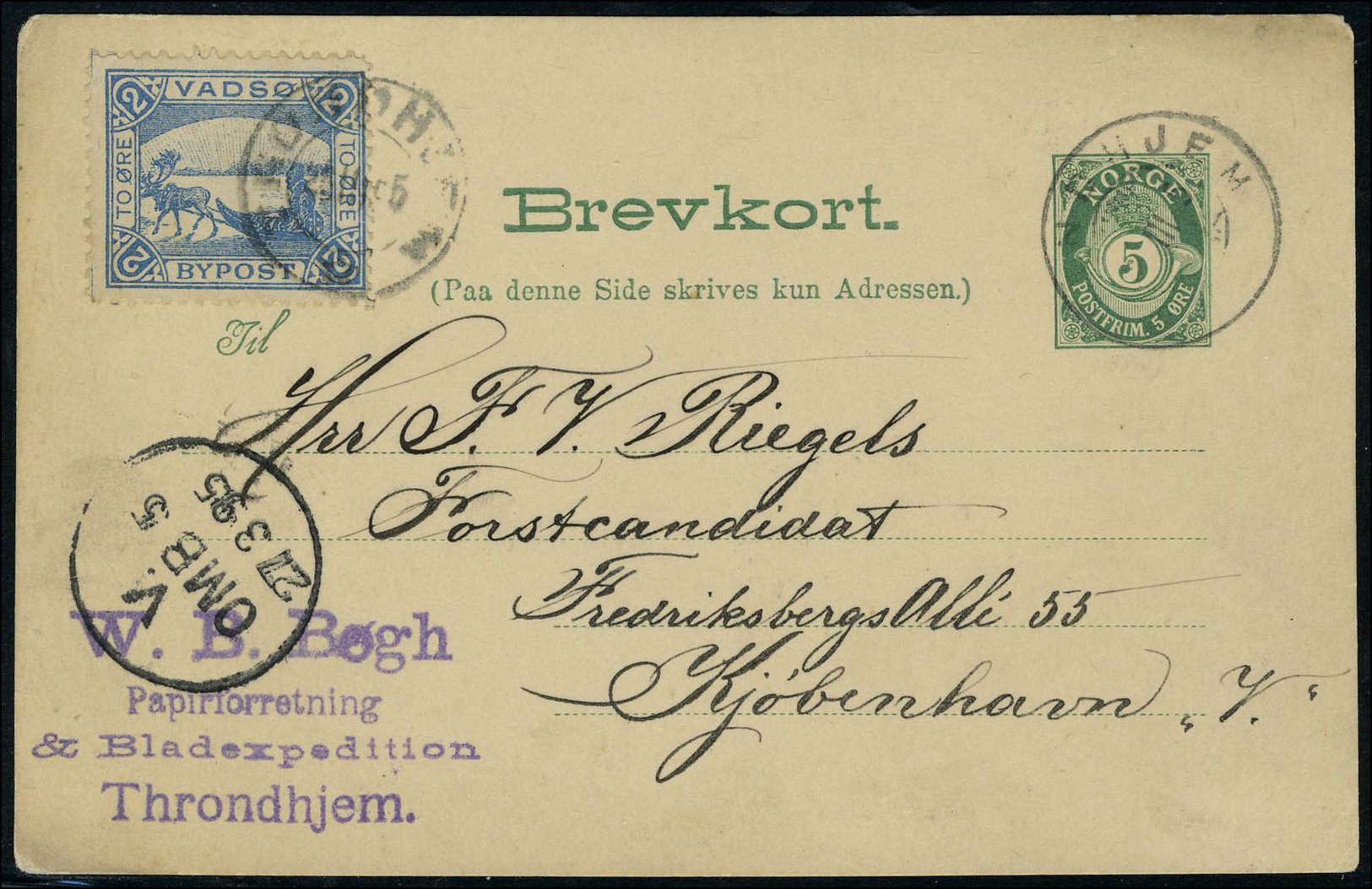 Lettre Vignette Bleu à 2 Ore Vadso, Expédition Polaire Mars 1895 Sur Entier Postal à 5 Ore Vert T.B. - Sonstige & Ohne Zuordnung