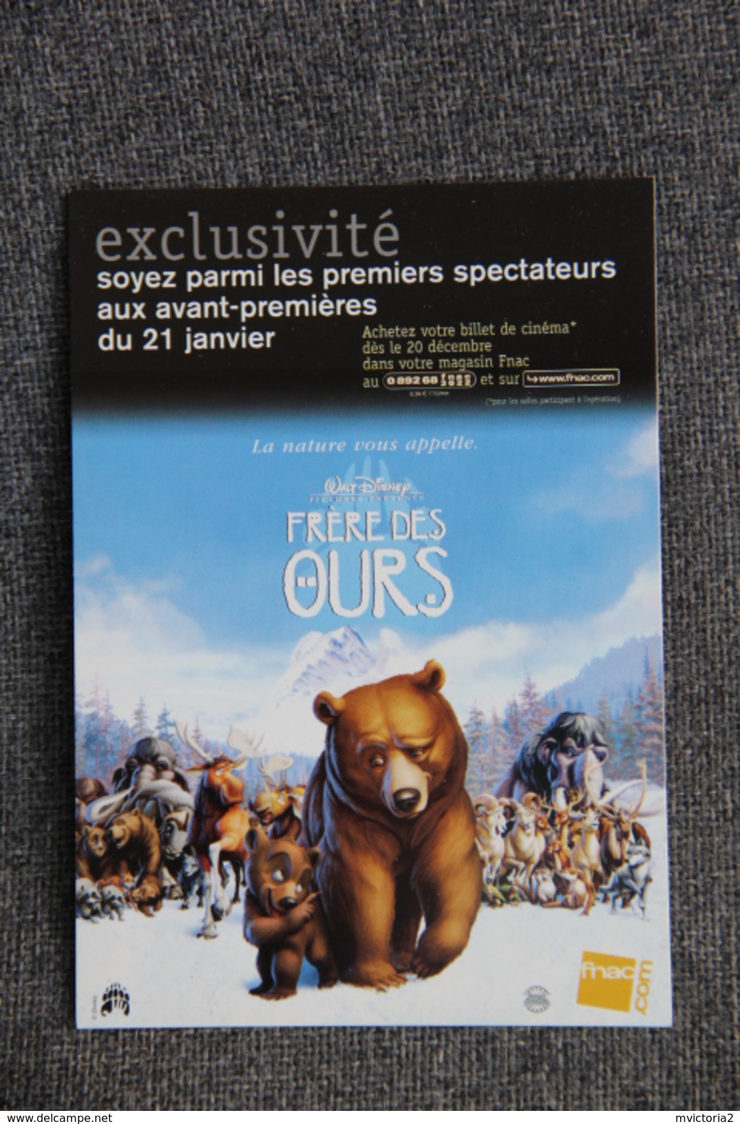 Frère Des OURS - Affiches Sur Carte