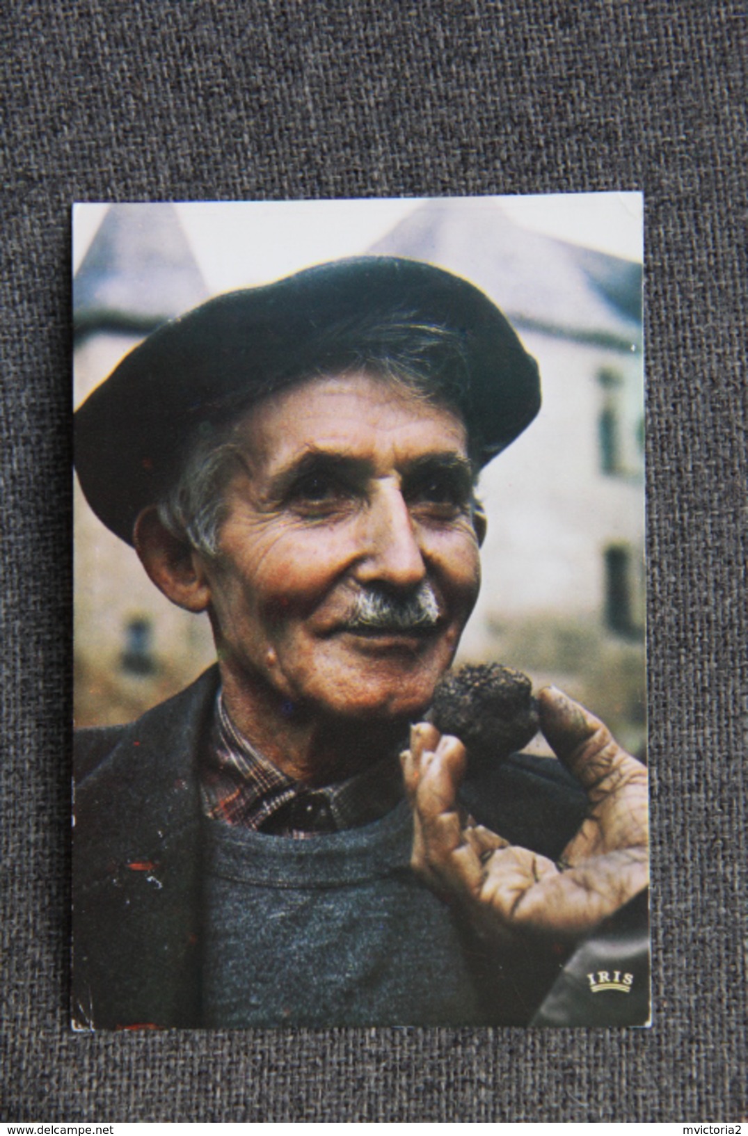 Marché Aux Truffes - Cultures