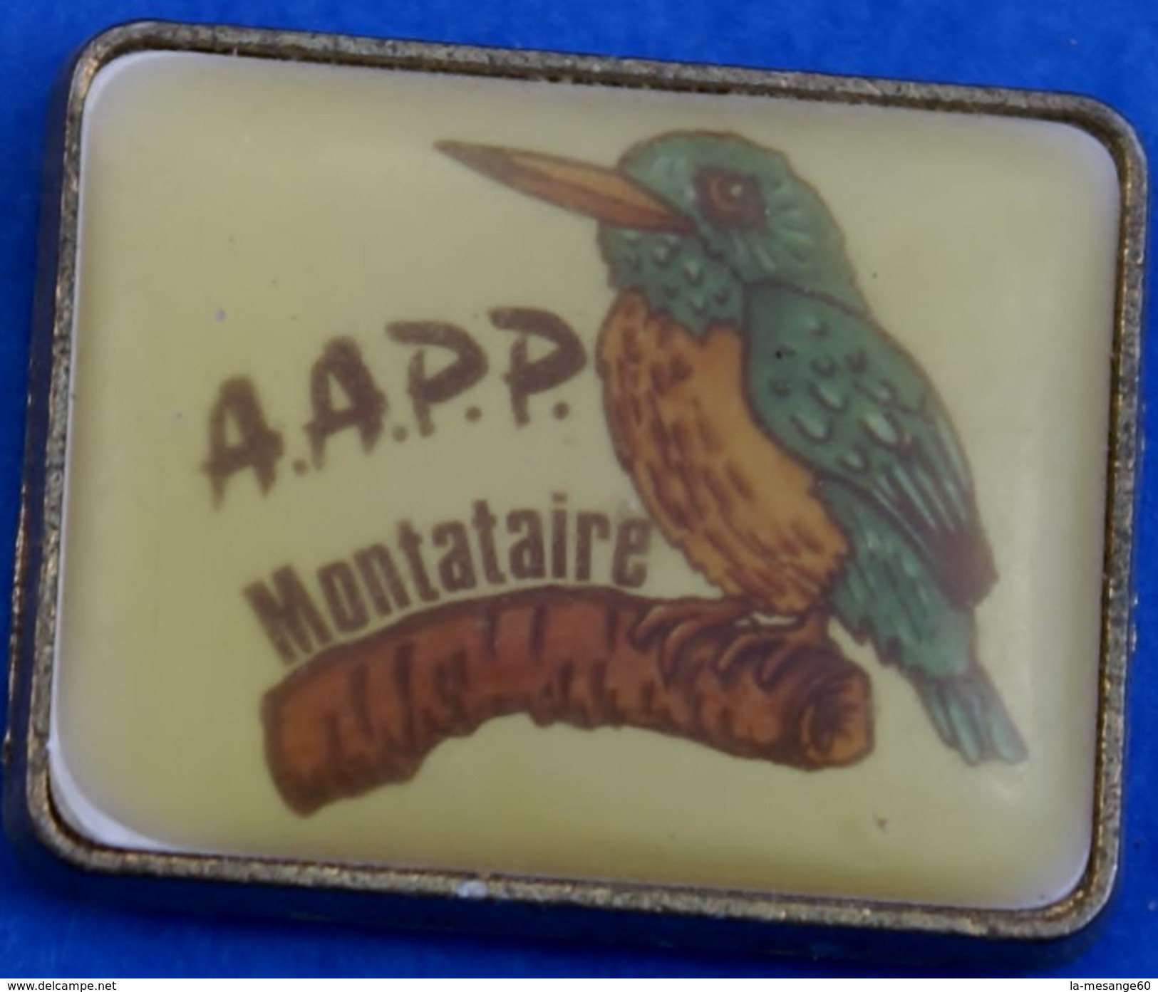 V 202)............A A P P .........MONTATAIRE....60.........ASSOCIATION PROTECTION DES OISEAUX......MARTIN  PECHEUR - Autres & Non Classés