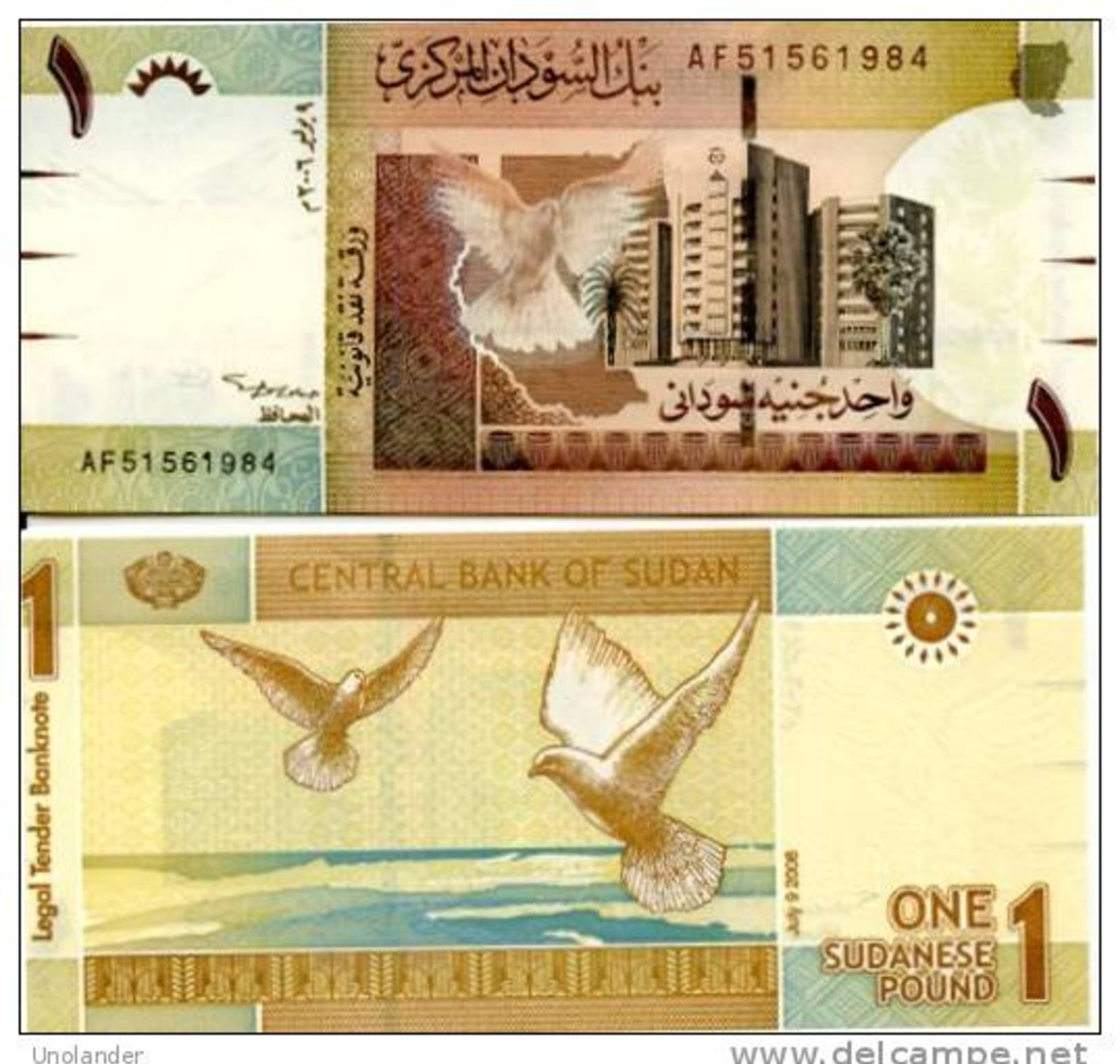 SUDAN 1 Pound 2006 P 64 UNC - Sudan