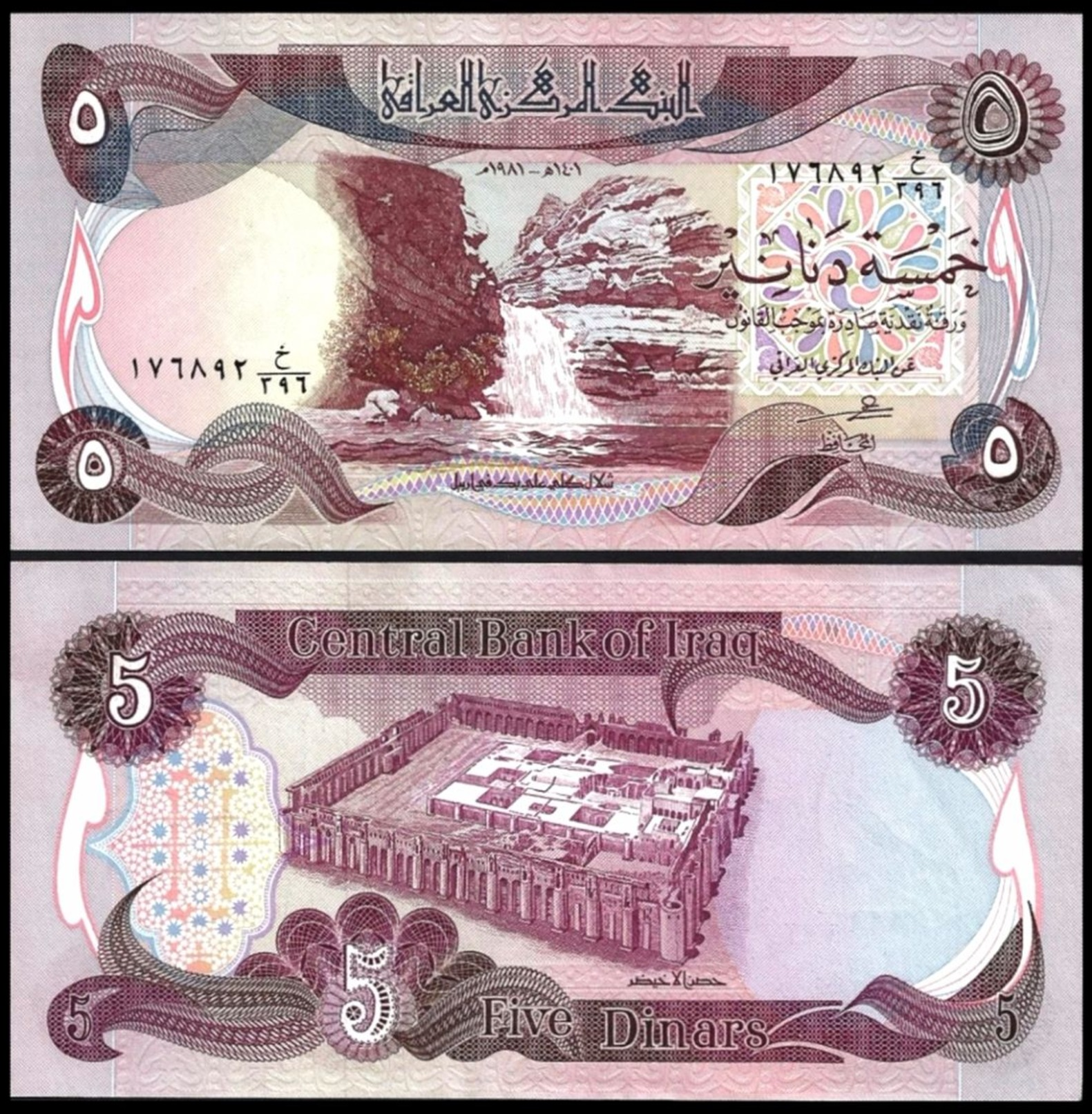 IRAQ 5 DINARS 1981 P 70 UNC - Iraq