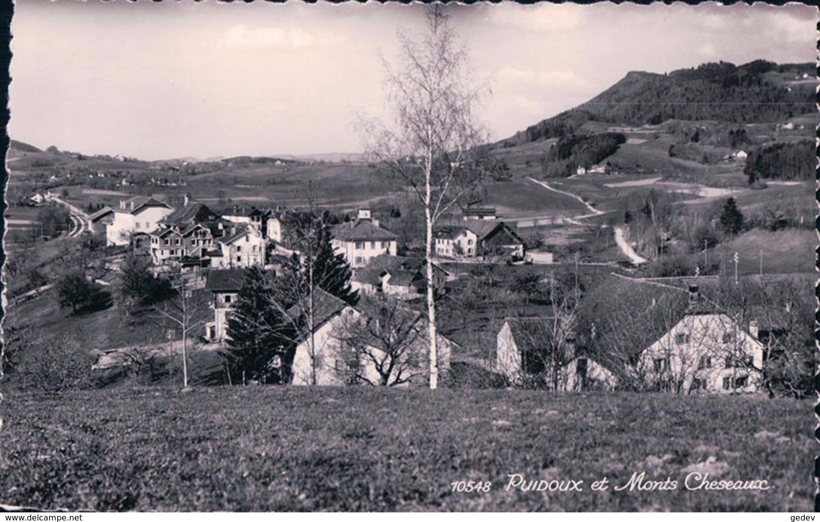 Puidoux Et Monts Cheseaux (10548) - Puidoux