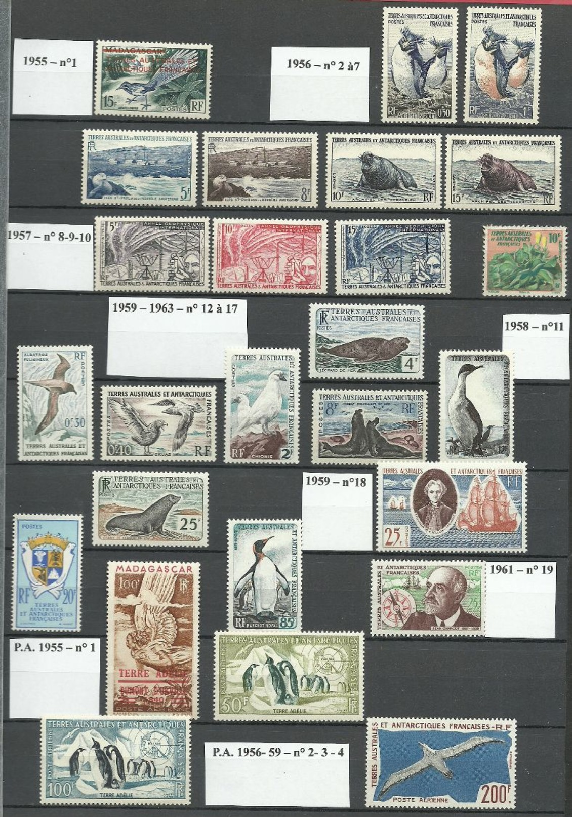 1955 à 1961 -Tous Les Timbres Réunis / PA 1948 Inclus - Komplette Jahrgänge