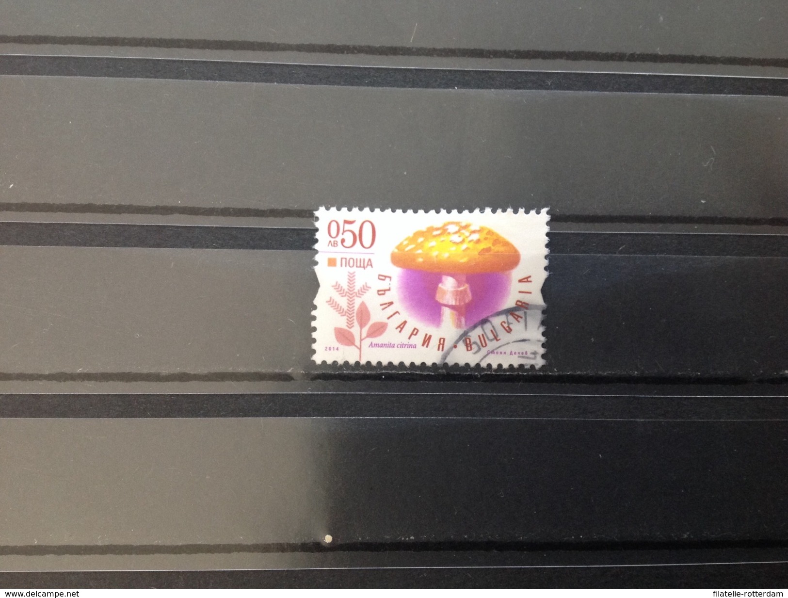 Bulgarije / Bulgaria - Paddenstoelen (0.50) 2014 - Used Stamps